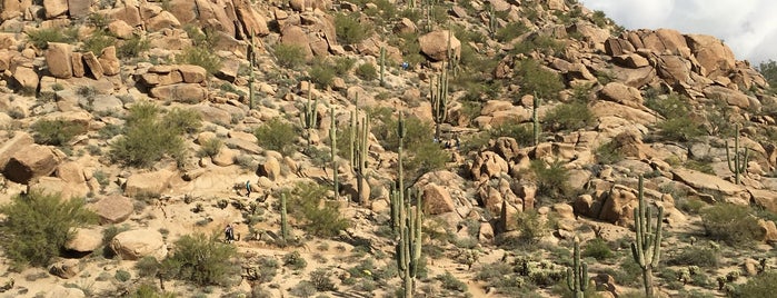 Pinnacle Peak Park is one of The 15 Best Places for Mountains in Scottsdale.