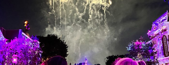 Magical Fireworks Spectacular is one of Lisa’s Liked Places.