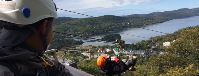 Ziptrek Ecotours is one of Gabriela : понравившиеся места.