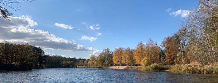 Озеро is one of Ирпень, Ірпінь (Київська область).