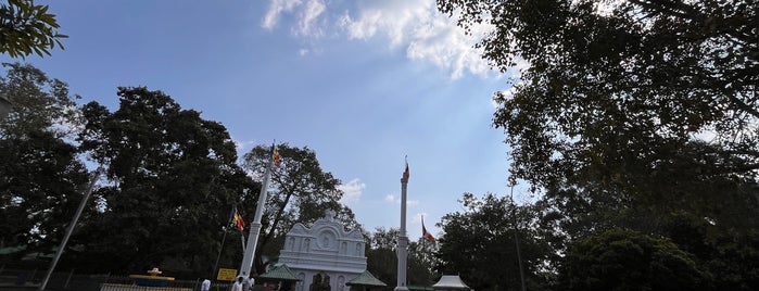 Sri Maha Bodhi is one of Шри-Ланка.