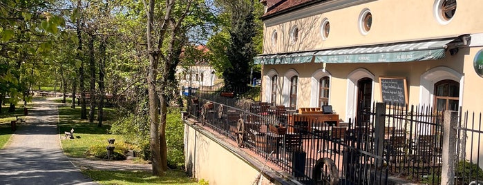 Al Mulino is one of Navštíveno - restaurace.