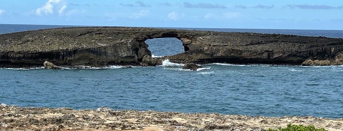 Laie Point is one of Beautiful Nature.