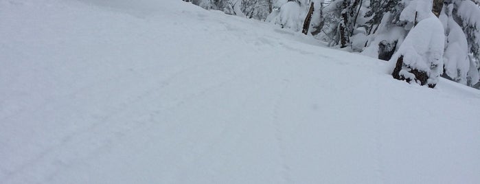 天元台高原スキー場 is one of 東北の行くべきスキー場.