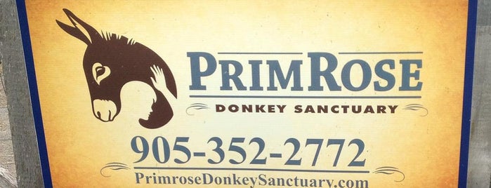 Primrose Donkey Sanctuary is one of Kingston.