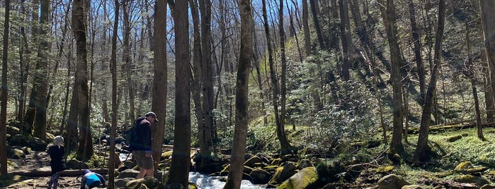 Cove Hardwood Nature Trail is one of Gatlinburg.
