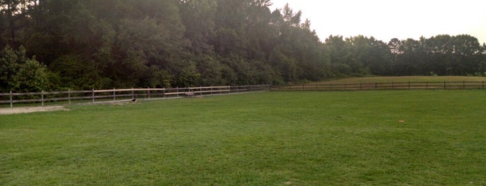 Kiesel Dog park is one of Auburn Favorites.