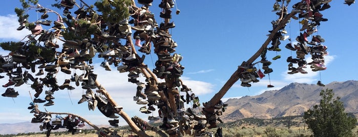 Shoe Tree is one of california.