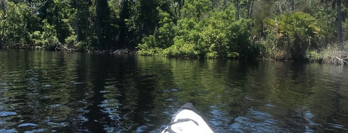 Aucilla River is one of A local’s guide: 48 hours in Monticello, FL.