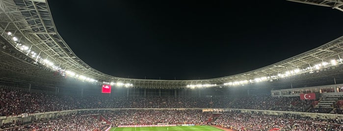 Yeni Eskişehir Stadyumu is one of Tempat yang Disukai Erkan.