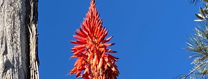 Penedo da Saudade is one of Portugal.