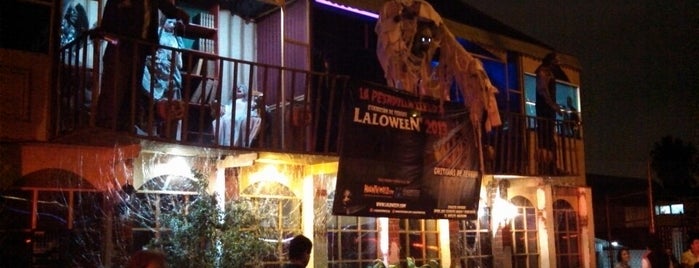 Laloween Oficial is one of Lo tengo que visitar!.