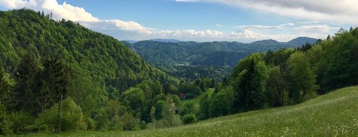Gostilnica in picerija Izba is one of Slovenia.