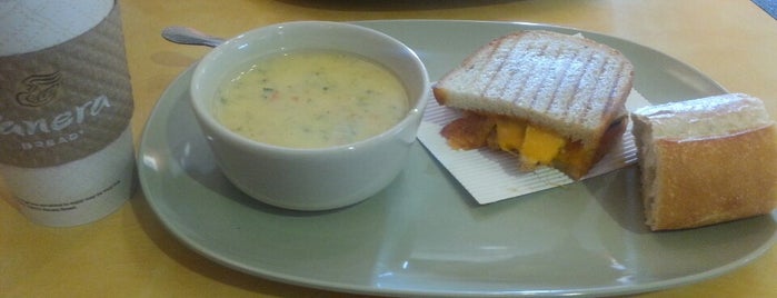 Panera Bread is one of Usual places.