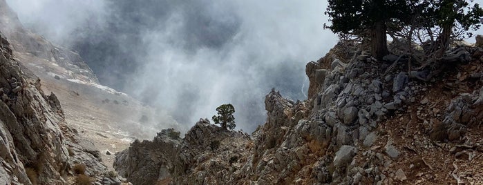 Babadag | Mount Cragus is one of Fethiye.