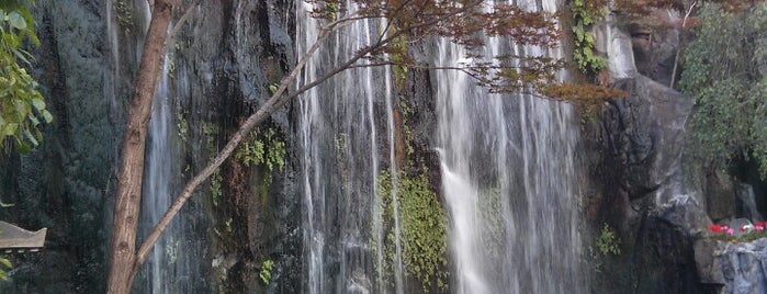 ANA Crowne Plaza Kyoto is one of สถานที่ที่ Alex ถูกใจ.