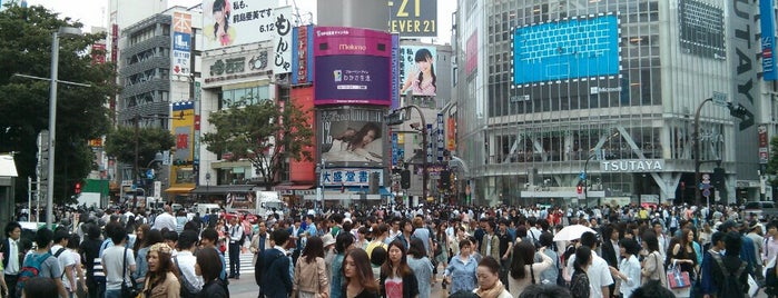 Shibuya Station is one of The stations I visited.