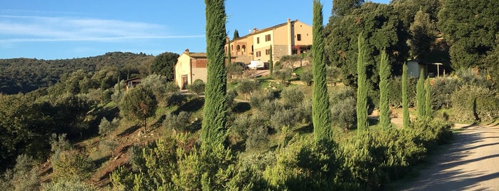 Fattoria Voltrona is one of Lieux qui ont plu à Zoltán.