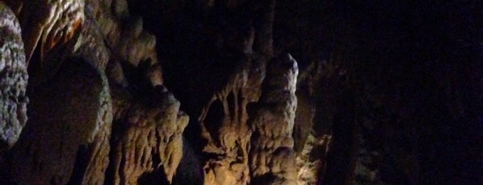 Mammoth Cave National Park is one of 75 Geeky Places to Take Your Kids.