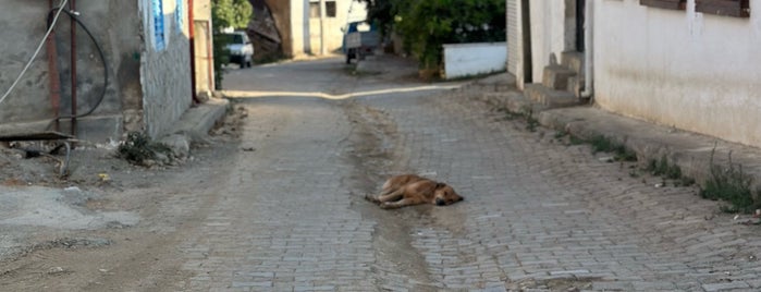 Çamlıbel is one of turkey.