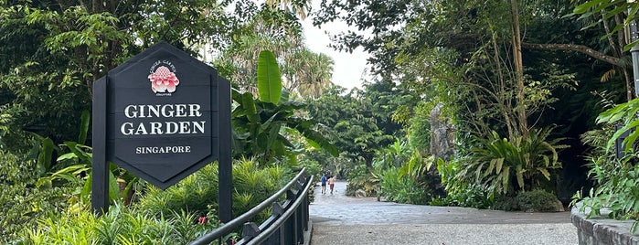 Ginger Garden is one of Singapore Botanic Gardens.