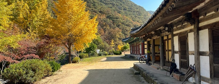 고운사 (孤雲寺) is one of 한국 33 관음 성지 / Korean 33 Kannon Pilgrimage Sites.