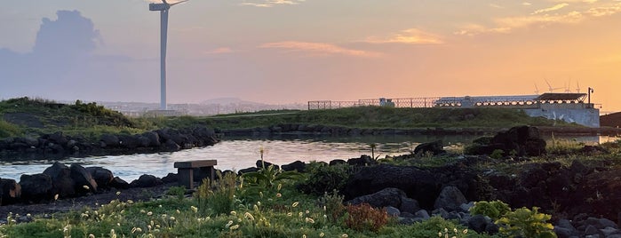 오저여 is one of 푸른 밤 제주 Jeju.