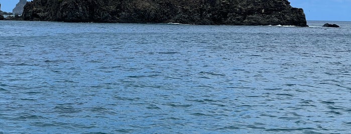 Praia do Cachorro is one of Fernando de Noronha.