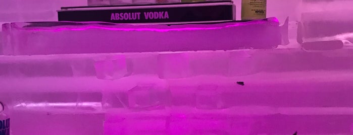 Ice Bar is one of Paradise.