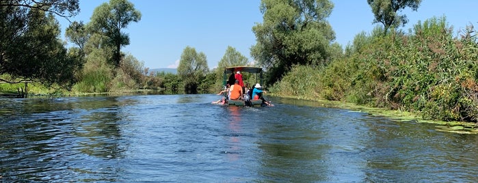 Park prirode Hutovo blato is one of Kroatie-bosnie-montenegro.