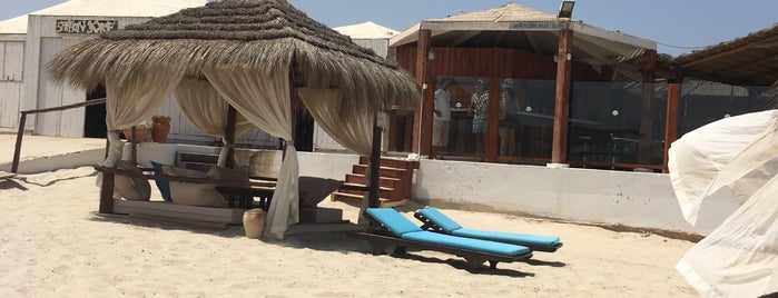 Palm Beach Club is one of Hôtels en Tunisie.