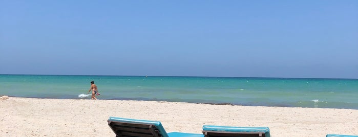 Palm Beach Club Djerba is one of Beach & Co | Tunisia.