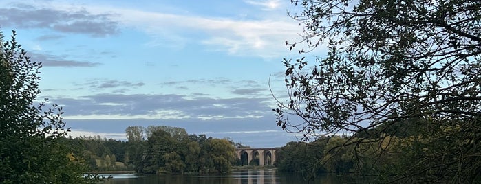 Obersee is one of Bielefeld.