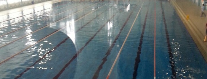 İkonyum Olimpik Yüzme Havuzu is one of Locais curtidos por Fatih.