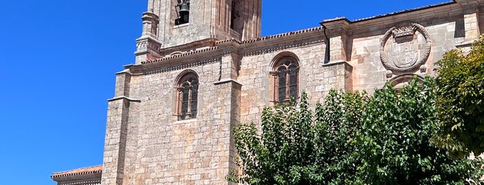 Iglesia Colegial de San Pedro is one of Castile and Leon.
