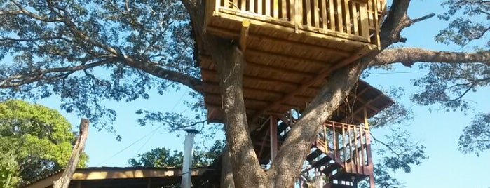Pizza Tree is one of Costa Rica.