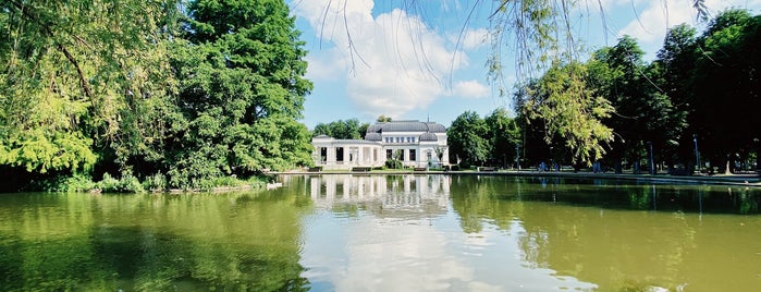Parcul Central is one of Cluj-napoca.