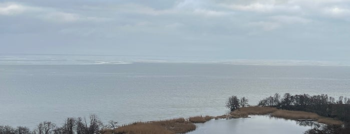 Озеро Лебедь is one of Kaliningrad.