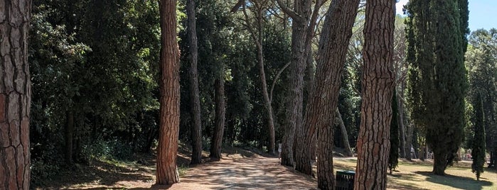 Park Šuma is one of Rovinj, Croatia.