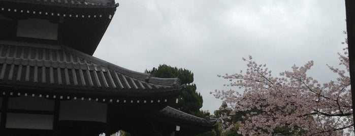 本法寺 is one of 門外漢的京都.