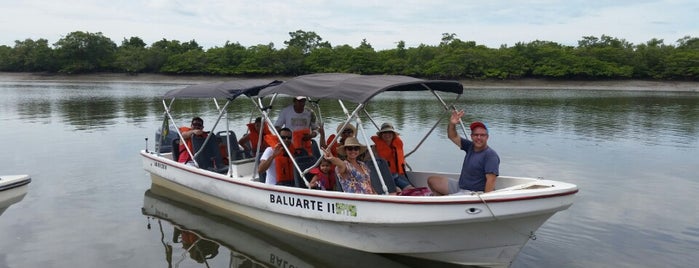 Baluarte Ecoturismo is one of Nordeste de Brasil - 1.
