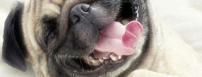 Wouldn't you like to know is one of Julie's things to do.