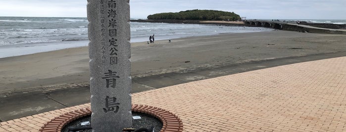 Aoshima Island is one of 観光 行きたい.