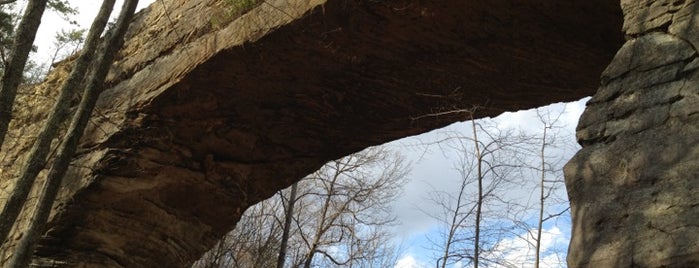 Natural Bridge State Resort Park is one of barbee: сохраненные места.