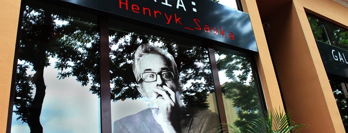 Galeria Henryka Sawki is one of Szczecin i Międzyzdroje.