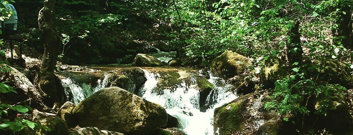 Kolesinski Vodopadi is one of 83'ın Kaydettiği Mekanlar.