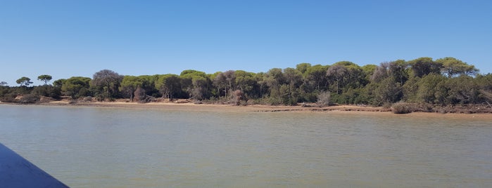 Parque nacional Doñana is one of Tempat yang Disukai Juan Luis.