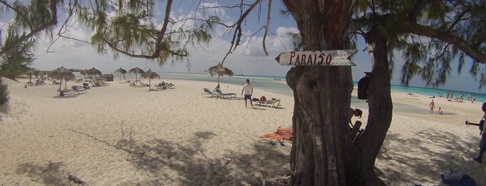 Playa Paraiso is one of Posti che sono piaciuti a Cynthya.