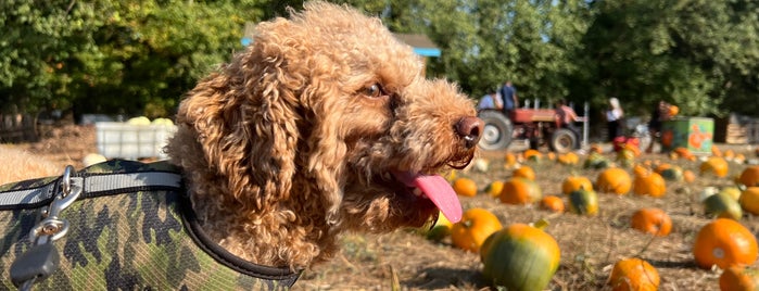 Port Kells Nurseries is one of Beautiful British Columbia we've been in...