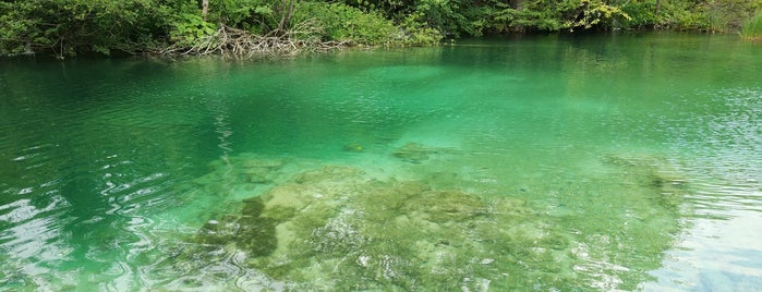 Jezero Milino is one of Soowan'ın Beğendiği Mekanlar.